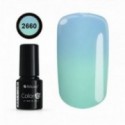 COLOR IT PREMIUM 2660
