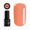 Color IT Premium 280