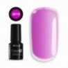 Color IT Premium 3010