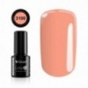 Color IT Premium 3100