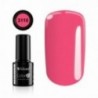 Color IT Premium 3110