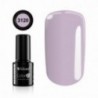Color IT Premium 3120