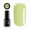 Color IT Premium 3130