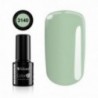Color IT Premium 3140