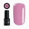 Color IT Premium 320