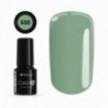 Color IT Premium 550