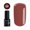 Color IT Premium 650