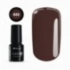 Color IT Premium 680