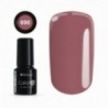 Color IT Premium 690
