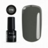Color IT Premium 770