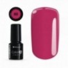 Color IT Premium 80