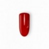 ROSSO GAMAX 6202