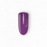 PRUGNA 6030