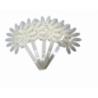 Ekspozitor Transparent Forme Lule