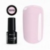 Color IT Premium 1010