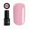 Color IT Premium 1030