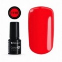 Color IT Premium 1110