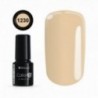 Color IT Premium 1230