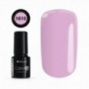 COLOR IT PREMIUM 1610