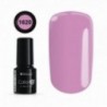 COLOR IT PREMIUM 1620