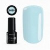 COLOR IT PREMIUM 1660