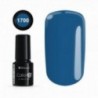 COLOR IT PREMIUM 1700