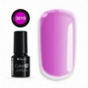 Color IT Premium 3010