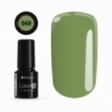 Color IT Premium 560