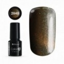 COLOR IT PREMIUM CAT EYE 2840