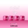 4 xhel ndertues