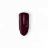 ENIGMA 6392