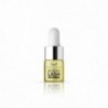Regenelash Oil