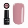 Color IT Premium 1040