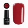 Color IT Premium 110