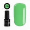 COLOR IT PREMIUM 1730