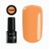 COLOR IT PREMIUM 1840