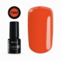 COLOR IT PREMIUM 1900
