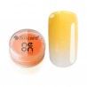 Neon Powder Yellow 3 g