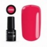 COLOR IT PREMIUM 2050