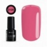 COLOR IT PREMIUM 2120