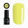 Color IT Premium 220