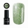 COLOR IT PREMIUM 2550