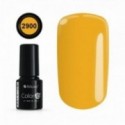 Color IT Premium 2900