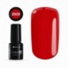 Color IT Premium 2920