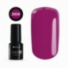 Color IT Premium 2930