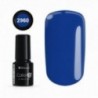 Color IT Premium 2960