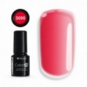 Color IT Premium 3000