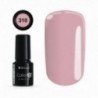 Color IT Premium 310