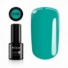 Color IT Premium 3150