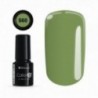 Color IT Premium 560